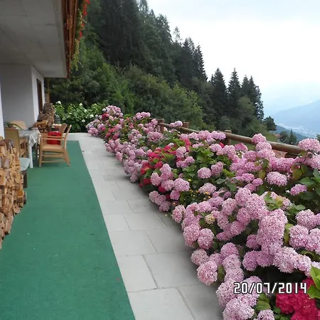 Infiore Bed & Breakfast 3*